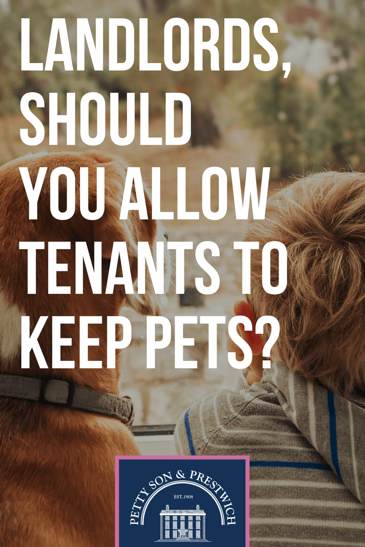 landlords should you allow tenants to keep pets