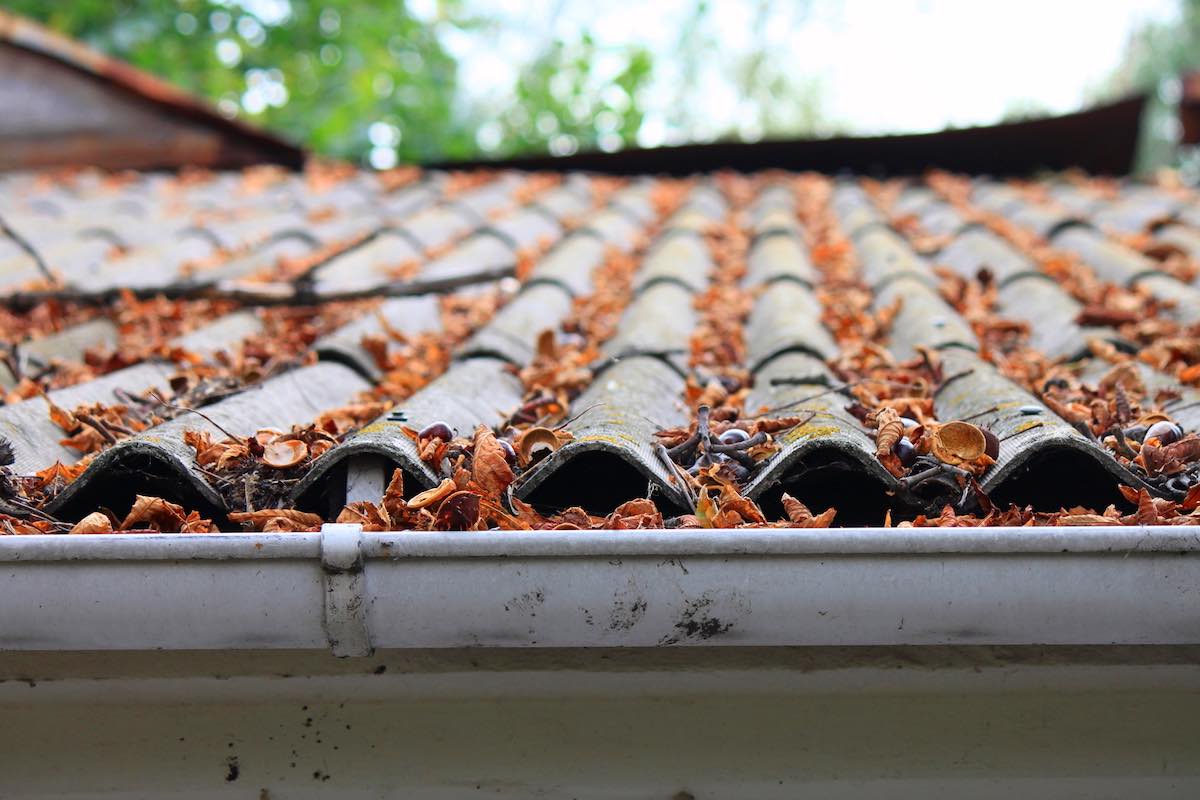 clear gutters winter landlords check