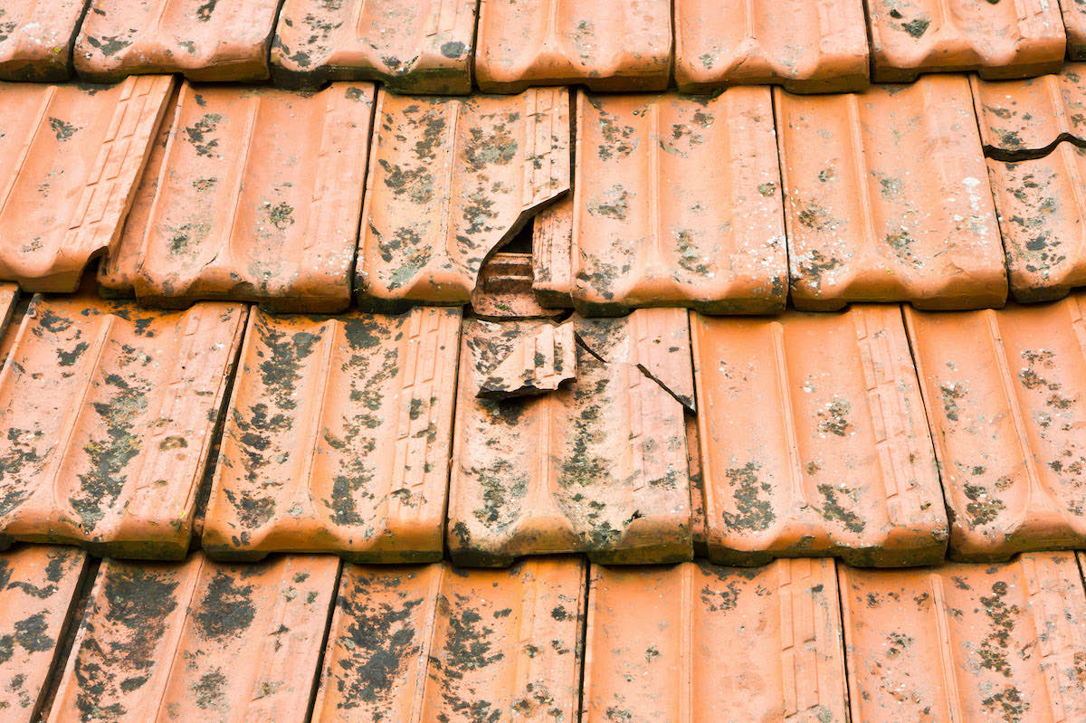 damaged roof tiles