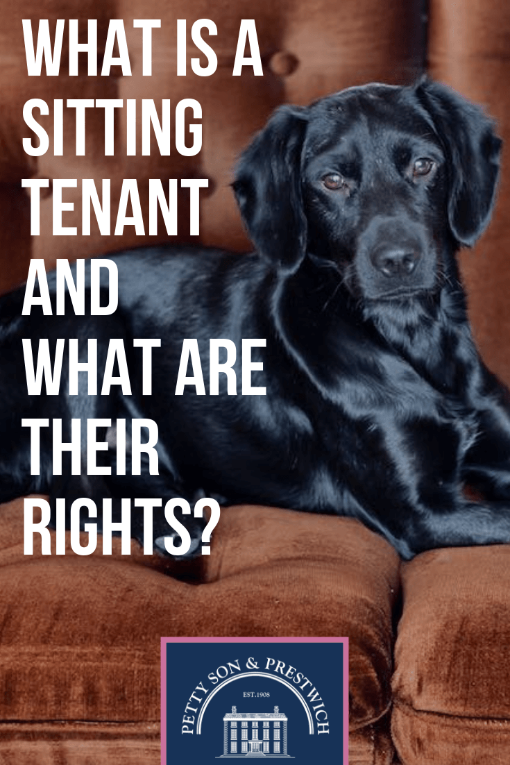 what is sitting tenant and what are their rights