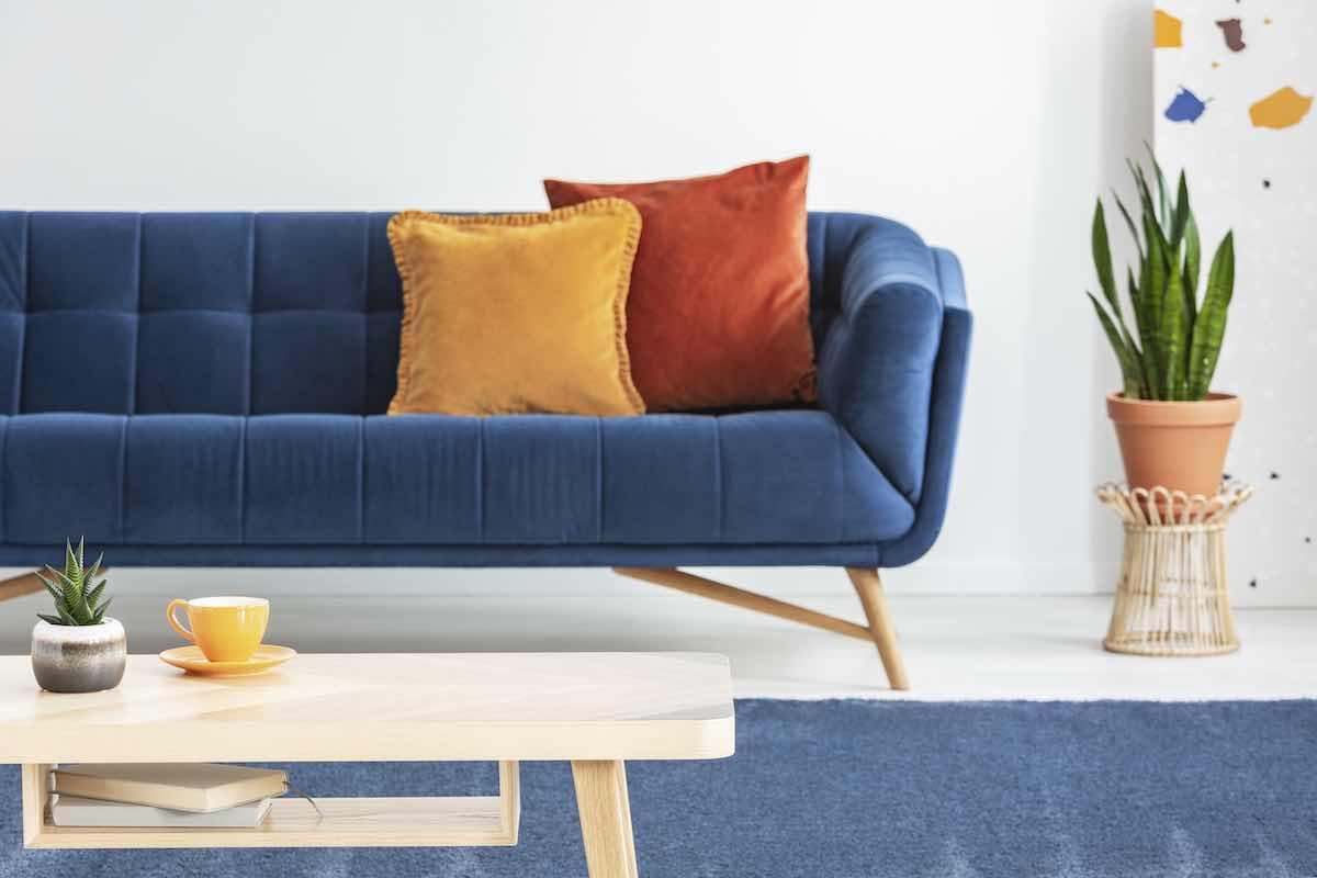 bold sofa colours
