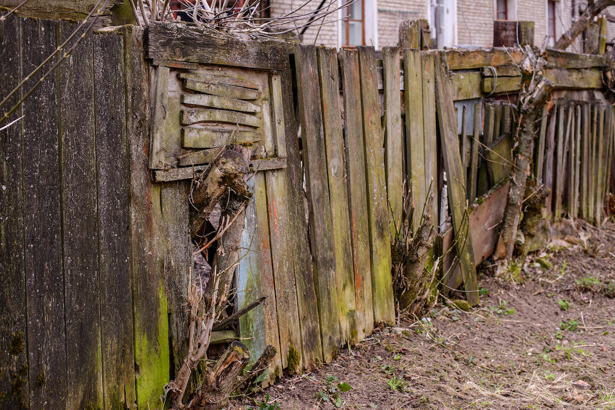 can i make neighbour repair fence