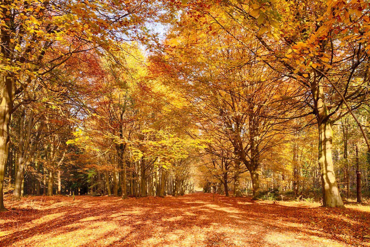 sell property in autumn