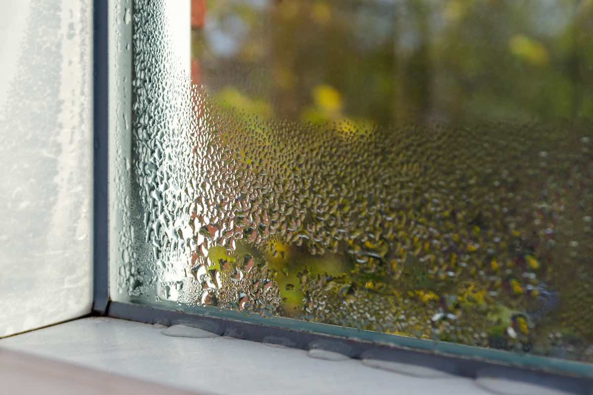 wet condensation window