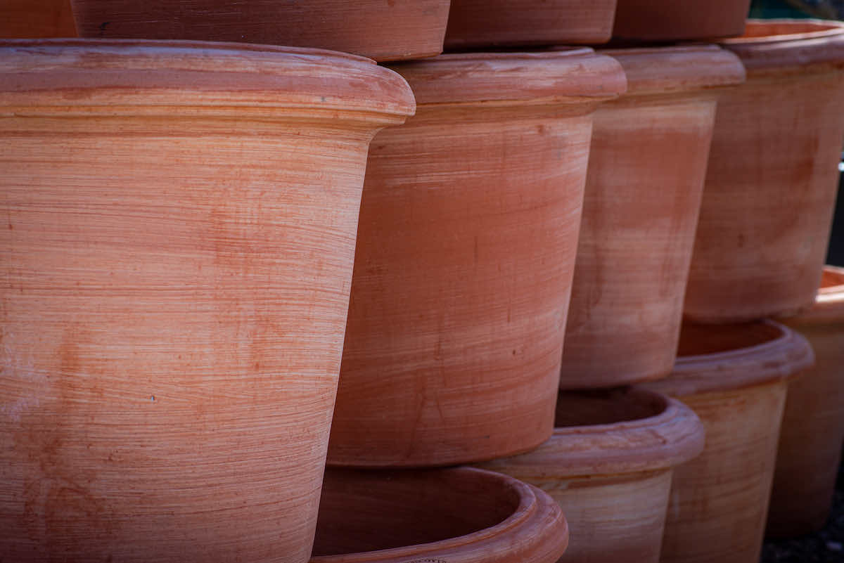 large planters improve garden privacy