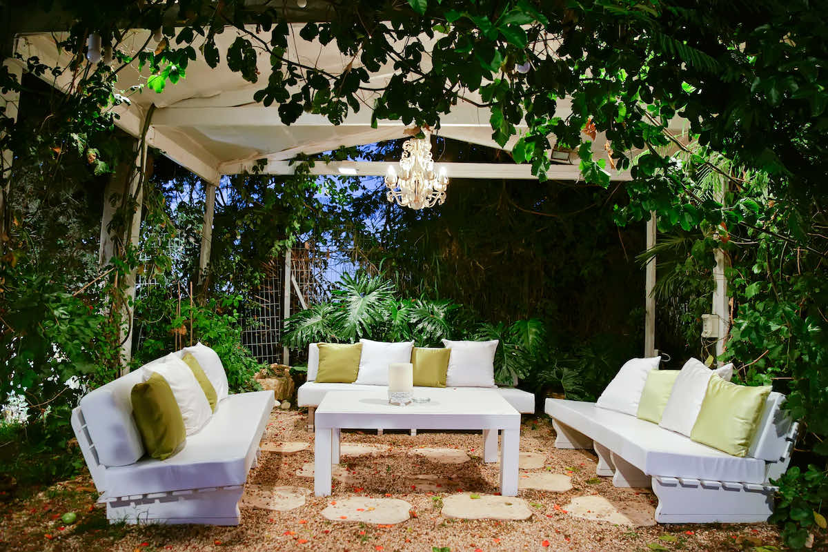 pergola improve garden privacy