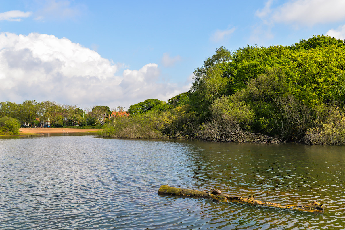 wanstead flats