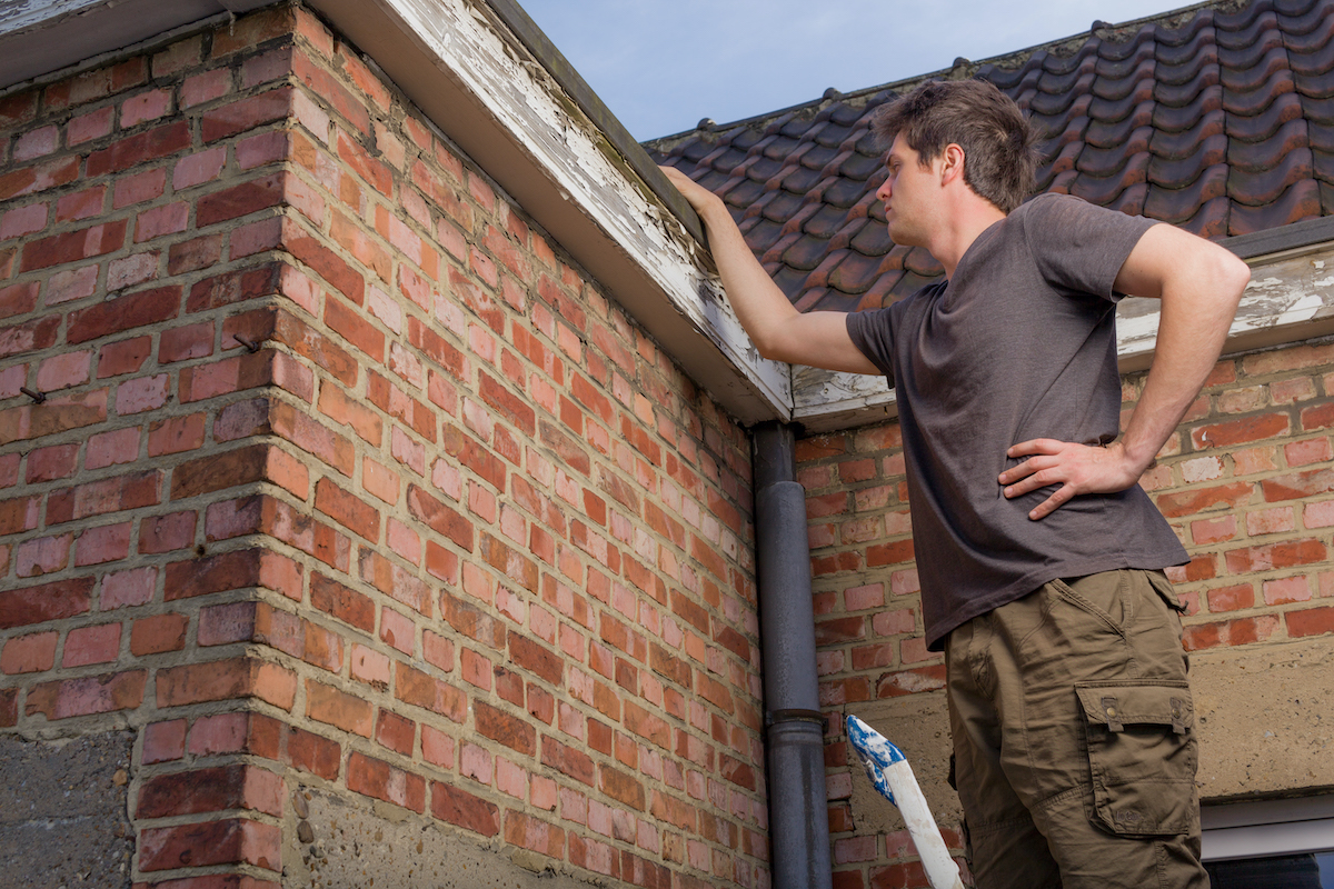 roof inspection