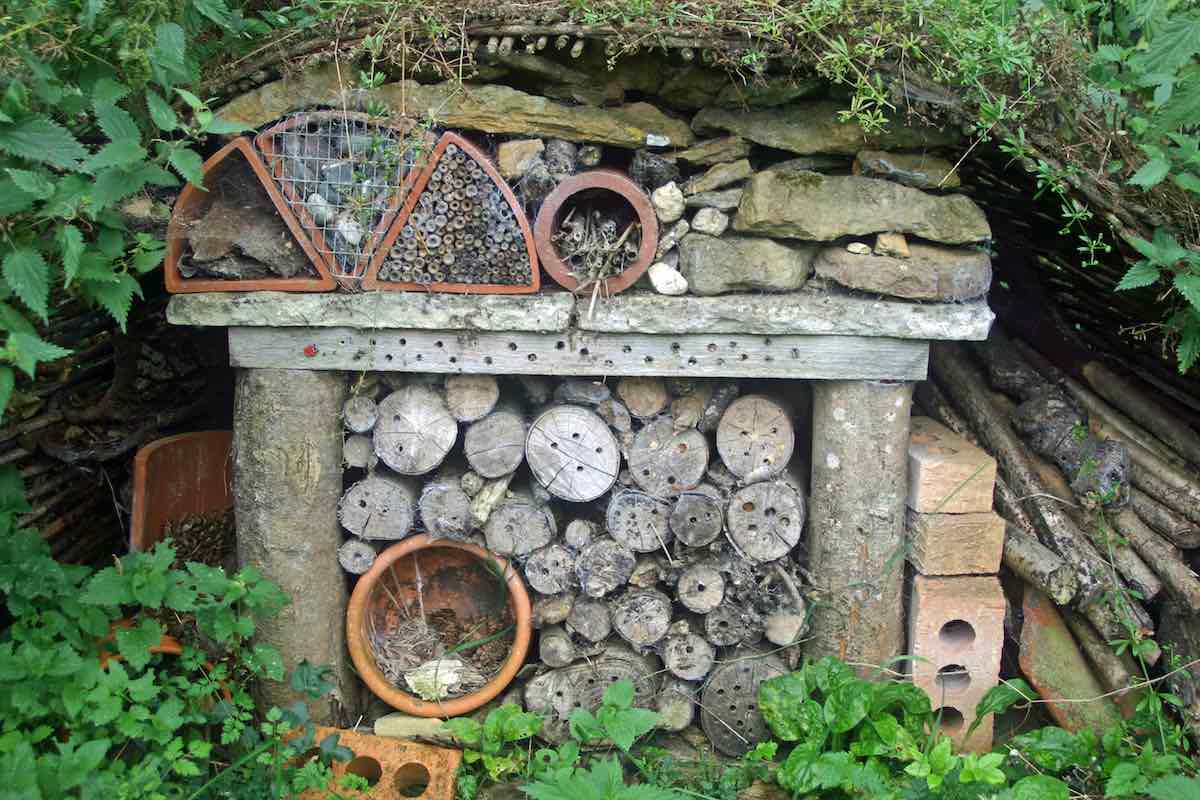 bug hotel wildlife garden