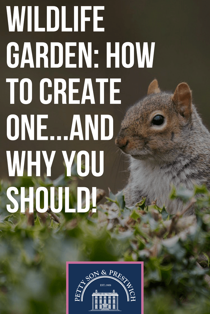 how to create a wildlife garden