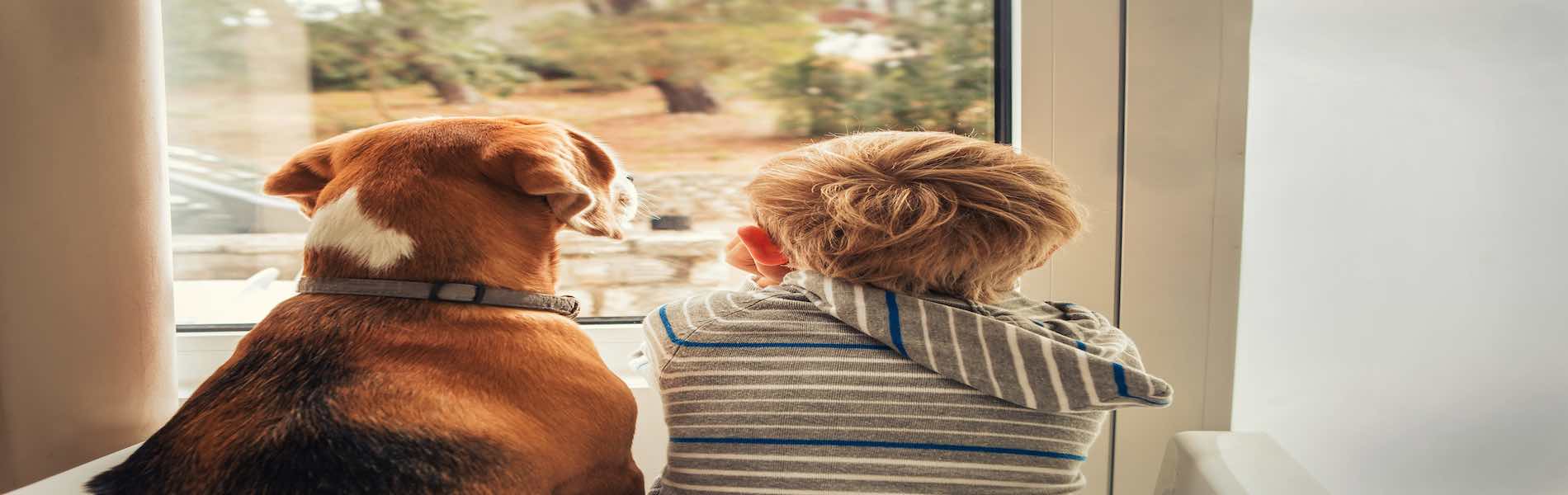 Landlords, Should You Allow Tenants To Keep Pets?