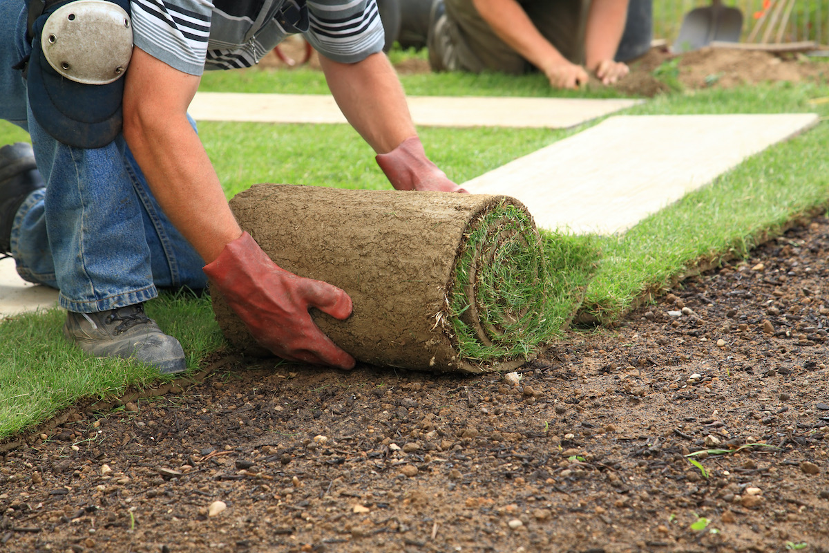 man laying real grass.jpg